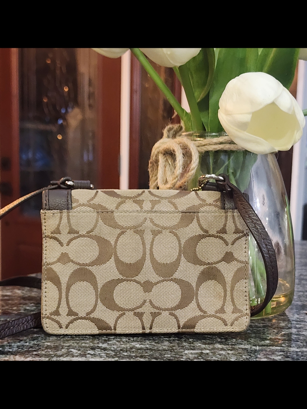 Coach Dylan Signature Canvas and Leather Mini Crossbody/wallet- GUC - Picture 2 of 7